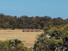 -威勒比开放式动物园