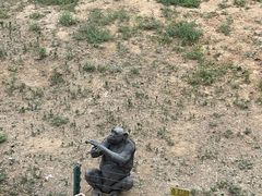 -石家庄市动物园