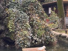-林间山庄