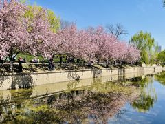 -元大都城垣遗址公园