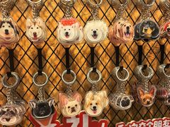 -和它·交个朋友·狗咖猫咖(爱琴海店)