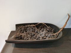 -MOJ coffee(瓯海泽雅水碓坑店)