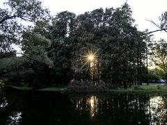 -上海共青森林公园