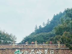 -桃花岭景区