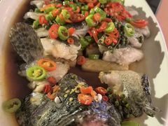 -MD日越生辉铁板烧(海运堤店)
