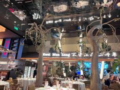 -桂满陇·海市蜃楼·黑金(国金店)