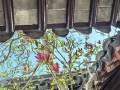 -上海醉白池公园