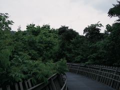 -福道