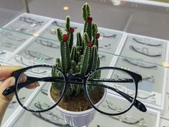 -罗伯特眼镜·蔡司官方授权(罗湖国贸店)