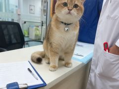 -美美宠物诊疗中心·异宠·骨科(滨江东信分院)