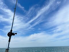 -山东大学(威海校区)