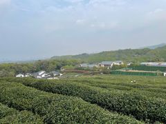 -中国茶叶博物馆(双峰馆区)