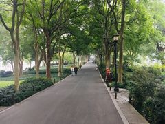 -苏堤停车场