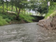 -天目湖松岭竹海漂流
