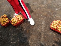 -塘栖枇杷特色园区