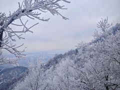 -紫金山山顶公园