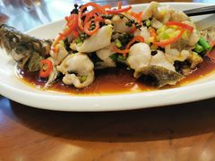 清蒸深海青斑-福满园大酒楼(梅林店)