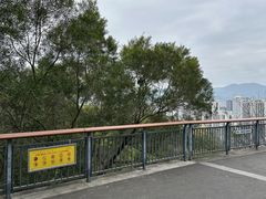 -金鸡山公园