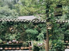 -青城甲(青城山店)