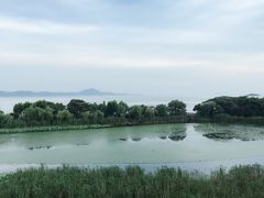-上海市保健医疗中心(华东疗养院)