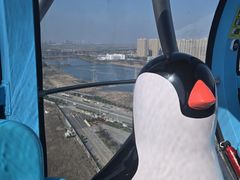 -海合安武汉极地海洋公园