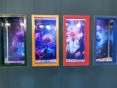 -北戴河圣蓝海洋公园