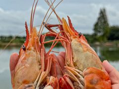 -水岸居湖景农家乐·阳澄湖大闸蟹
