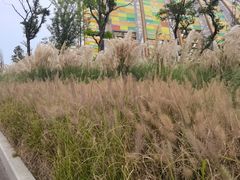 -中国天府农业博览园