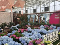-盈香心动乐园
