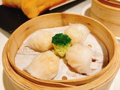 悦景水晶虾饺-悦景酒家(罗湖店)