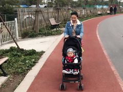 -上海长兴岛郊野公园