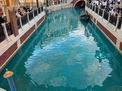 -澳门威尼斯人综合度假区