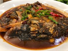 -苏启渔港(云南北路店)