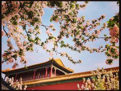 -故宫博物院(故宫)