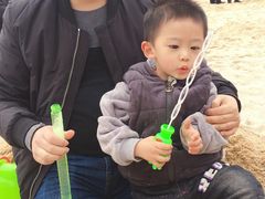 -枫香湖儿童公园