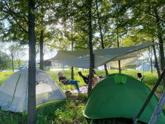 -春花秋色城市公园