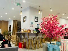 -柴犬小屋·柴餐厅·狗咖食堂(金鼎广场店)