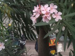 -古镇榨粉店(和平三街店)