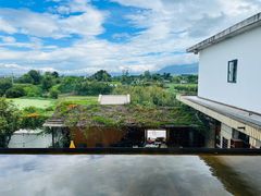 -翠田Green Field Kitchen