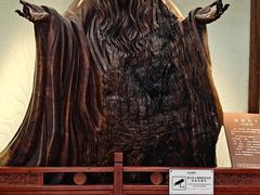 -茅山东方盐湖城景区