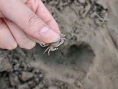 -南汇新城海滩