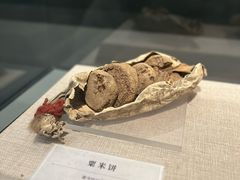 -巴音郭楞蒙古自治州博物馆