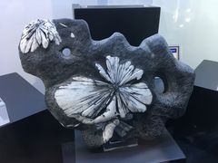 -中国地质大学逸夫博物馆