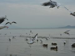 -深圳湾公园(南山区)