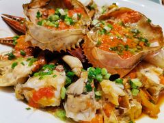 -沪碟·精菜坊(闵行店)