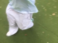 -北戴河集发农业梦想王国