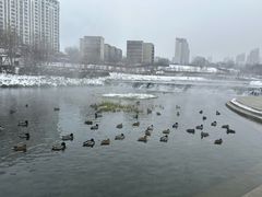 -水磨沟公园
