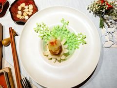 -叶叶菩提(太原别墅店)