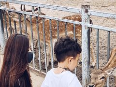 -西安秦岭野生动物园