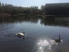 -吉林大学(前卫南区)